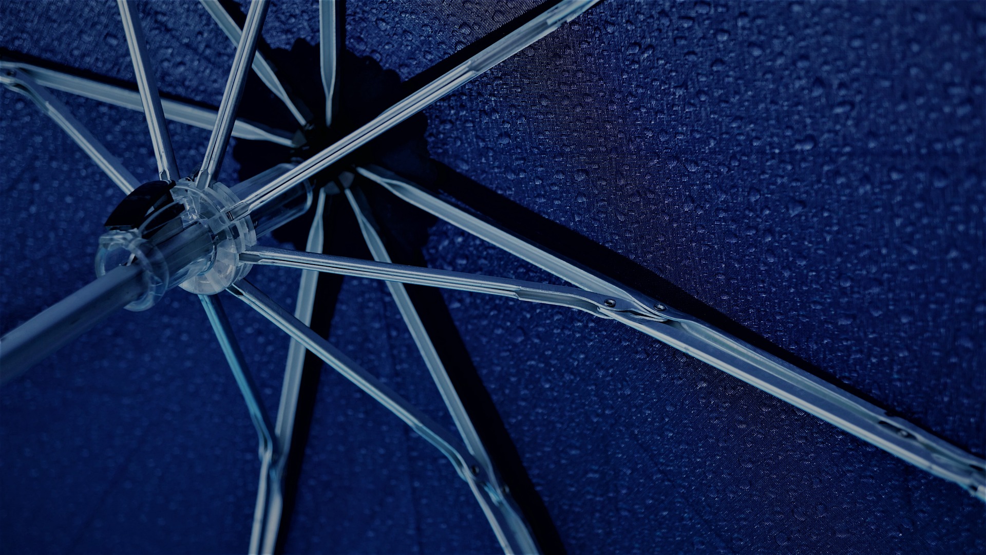 umbrella-5269946_1920